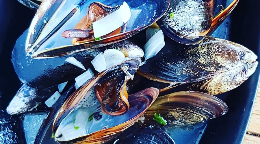 Mejillones / Miesmuscheln / Mussels