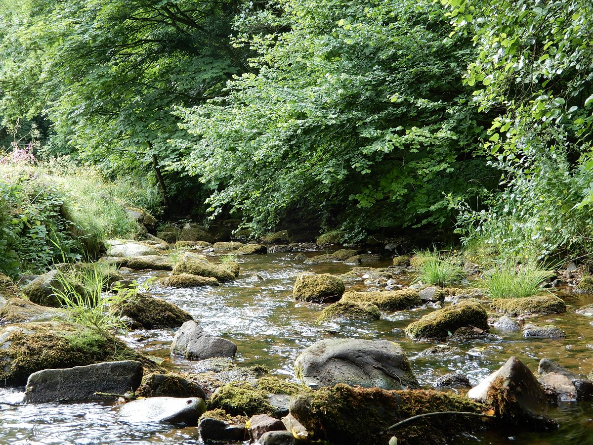Nant Mill Country Park (Wrexham) - All You Need to Know BEFORE You Go