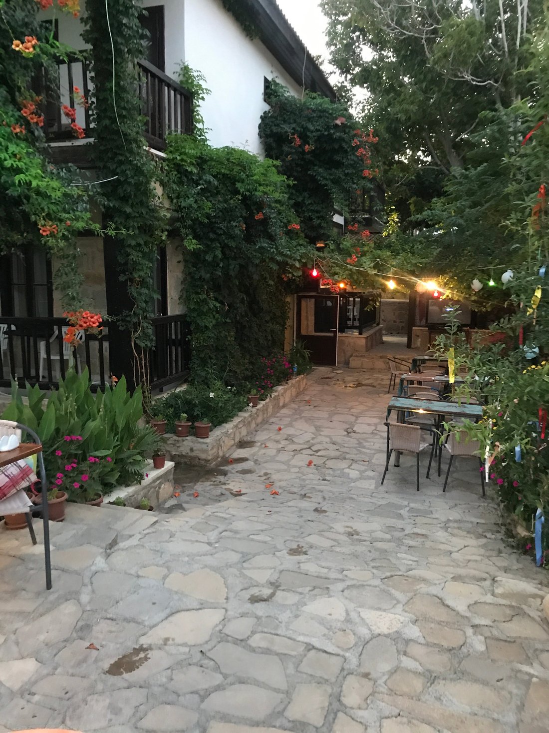 KAKTUS BOUTIQUE HOTEL SIDE (Сиде) - отзывы, фото и сравнение цен -  Tripadvisor