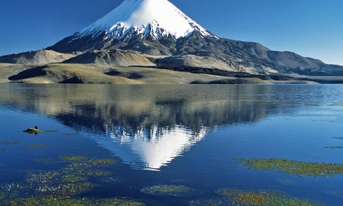 Dit is de in het Laguna Chungará weerspiegelde vulkaan Parinacota, gelegen Noord-Chili.  