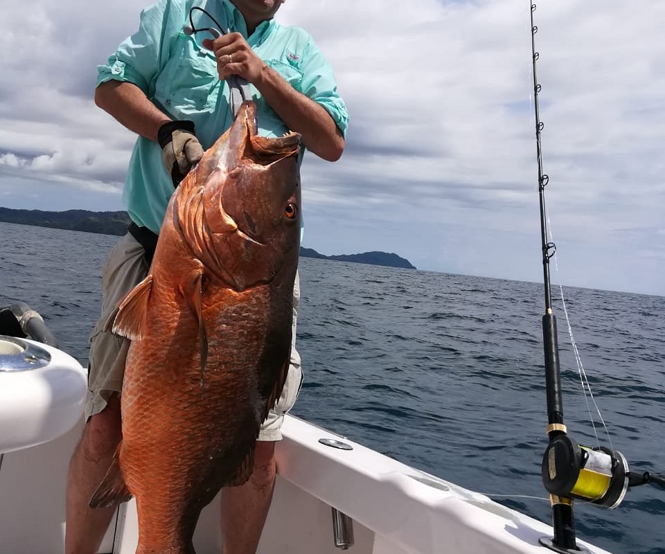 My 7 year old with her Needle fish that is taller than our guide! - Picture  of Gamefisher II Costa Rica, Playa Flamingo - Tripadvisor