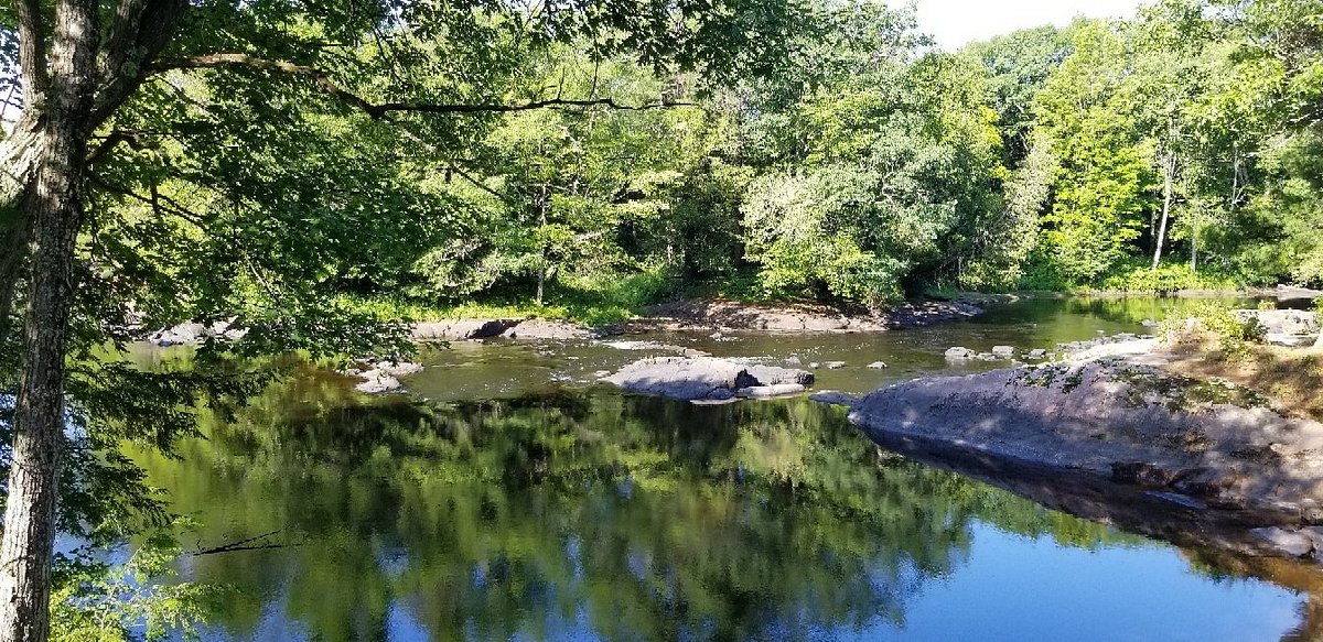 Severn River Near Washago - Green River