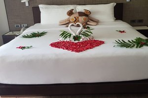 Room & Suite