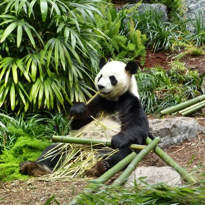 カナダの自然 野生動物生息エリア カナダの 10 件の自然 野生動物生息エリアをチェックする トリップアドバイザー