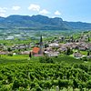 Things To Do in Cantina Tramin, Restaurants in Cantina Tramin