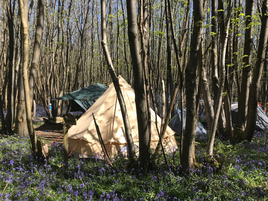Badgells Wood Camping Campground Reviews Meopham Kent Tripadvisor