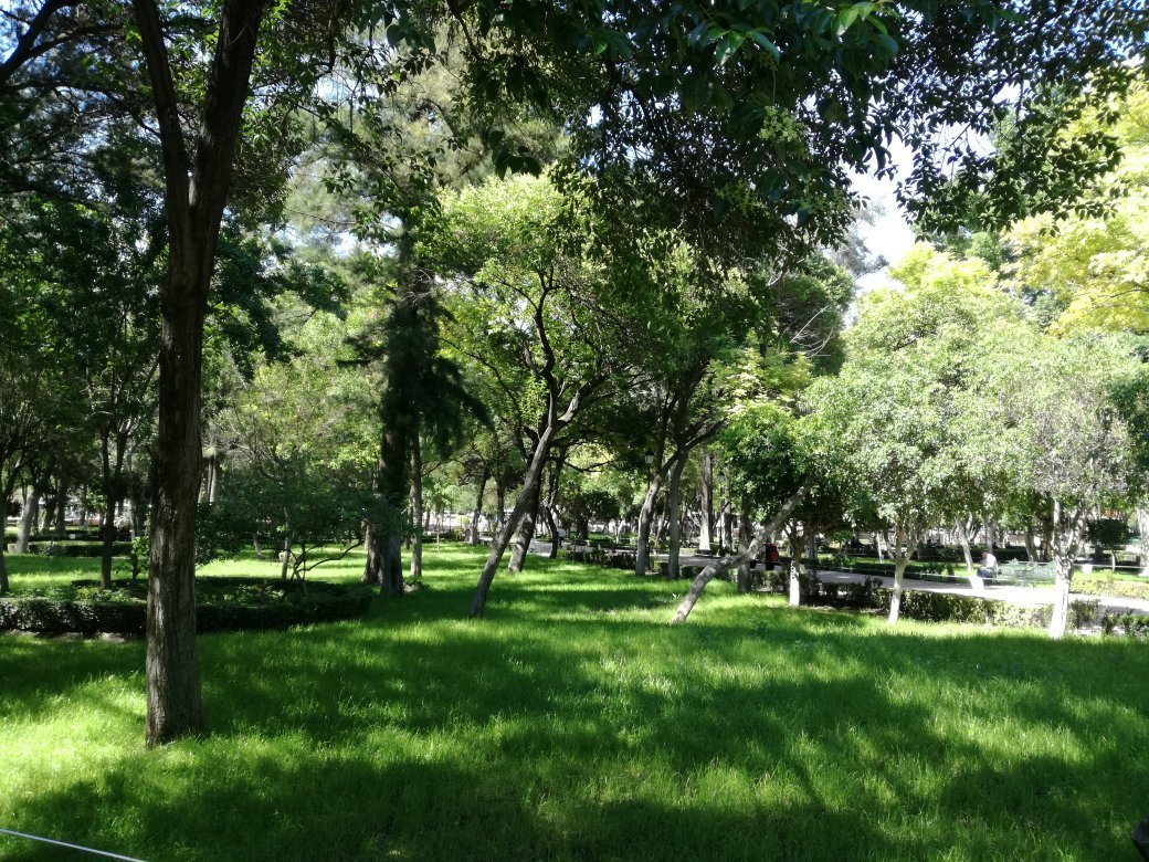 JARDÍN HIDALGO QUERÉTARO MEXICO