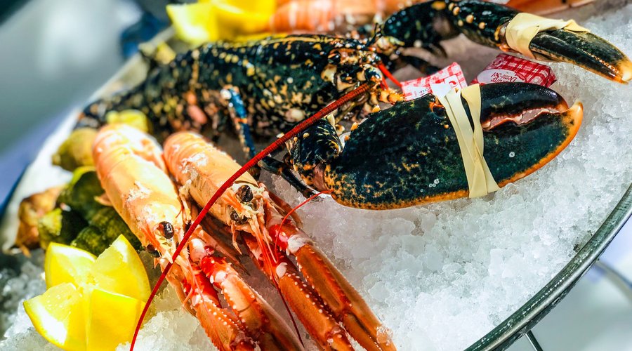 Sélection de plateaux de fruits de mer en Drôme Provençale