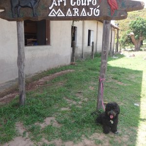 Instituicao Caruanas do Marajo Cultura e Ecologia - All You Need to Know  BEFORE You Go (with Photos)