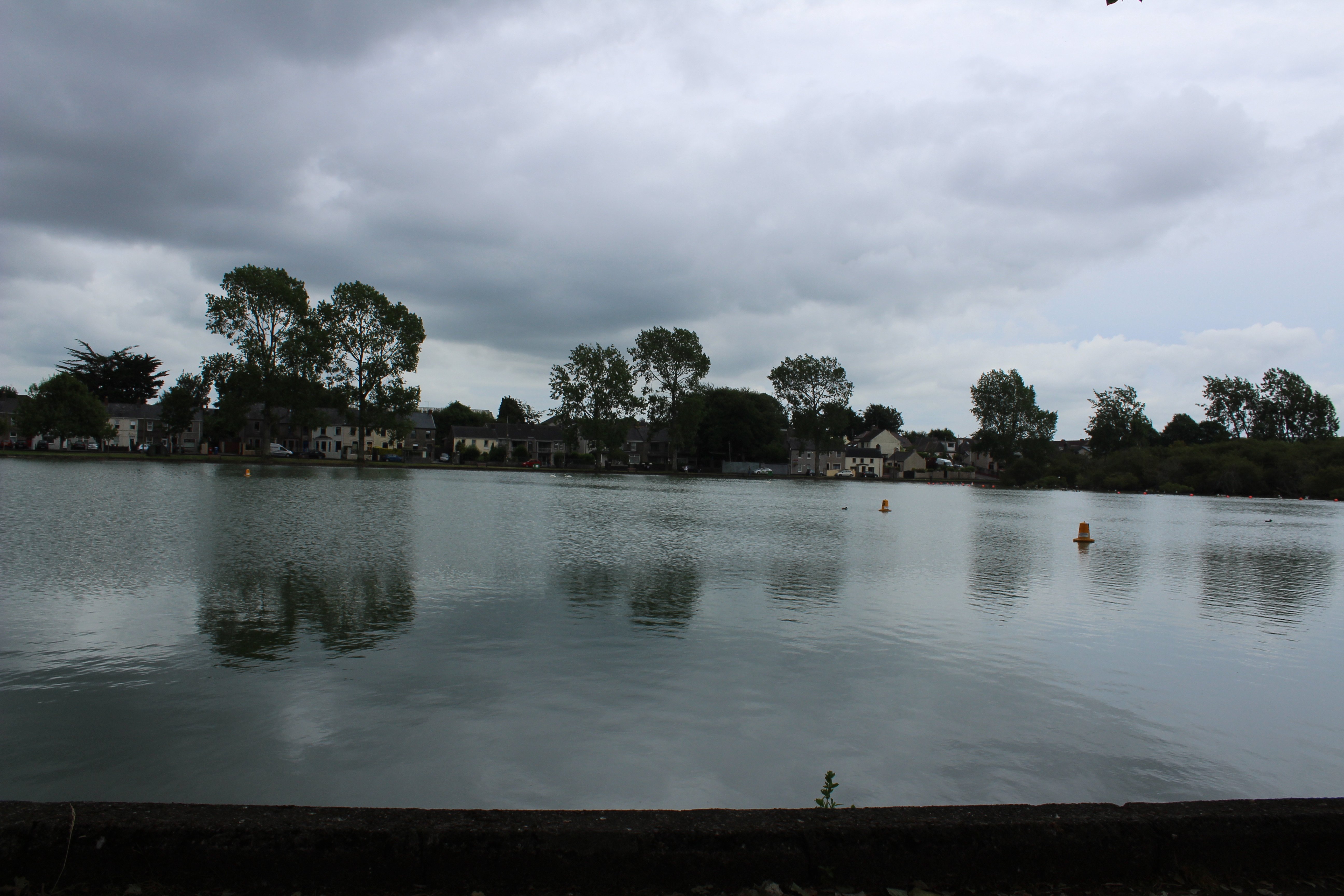 LOUGH WILDLIFE SANCTUARY All You Need to Know BEFORE You Go with