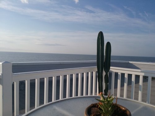 SEASIDE AMELIA INN (AU$266): 2024 Prices & Reviews (Amelia Island ...