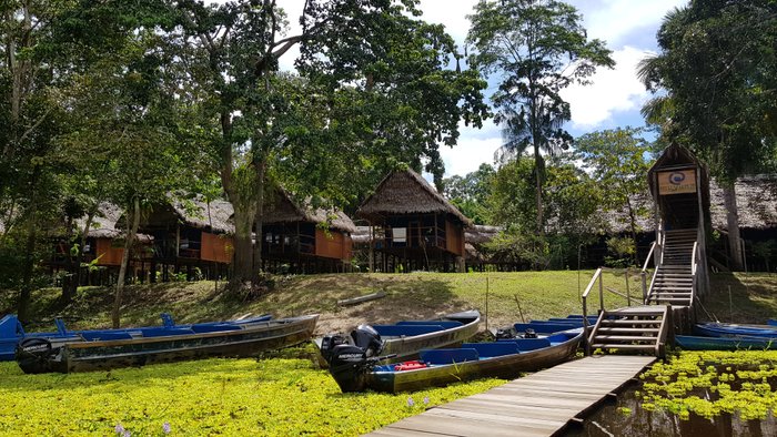 Muyuna Amazon Lodge Shuttle Bus Service: Pictures & Reviews - Tripadvisor