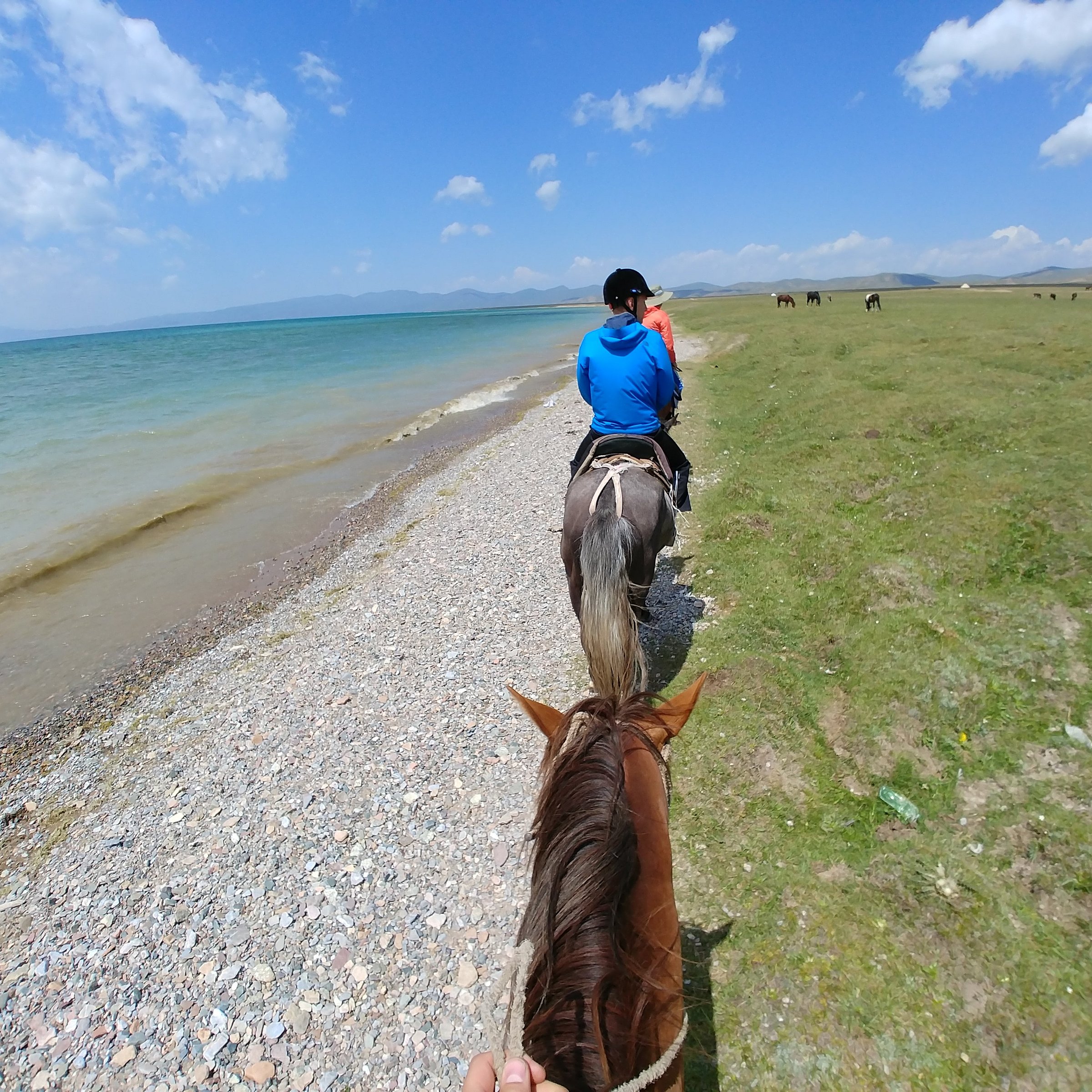kyrgyz riders travel company kochkor reviews
