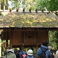 高床式だ