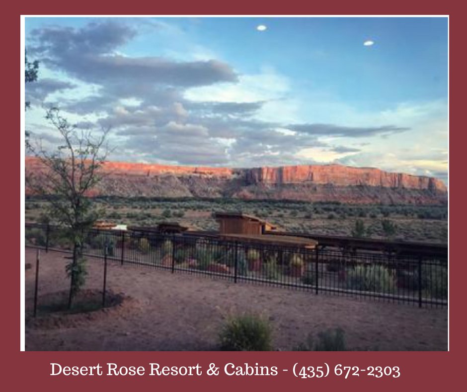 Hotel photo 18 of Desert Rose Resort & Cabins.