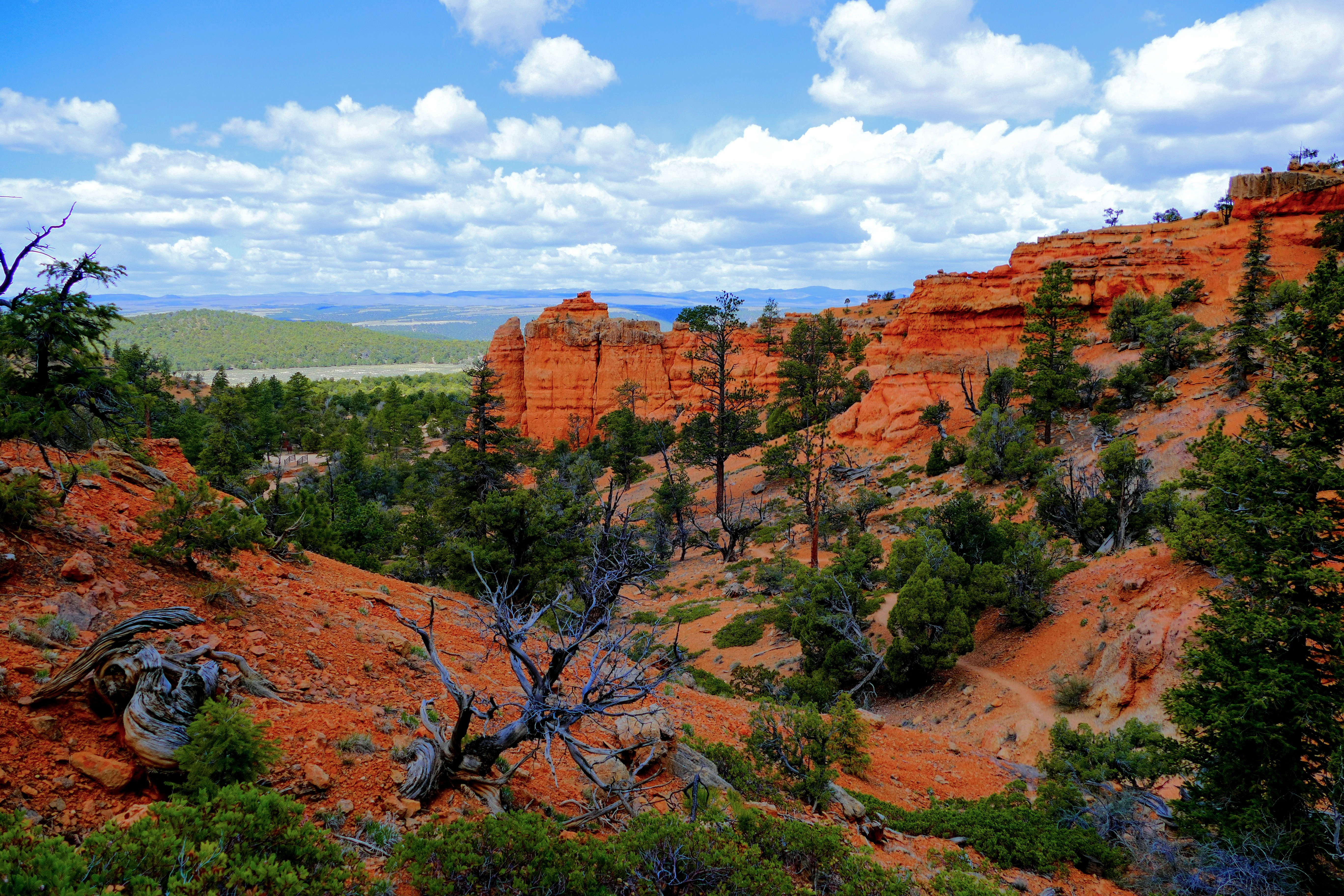 Best hikes in hotsell dixie national forest