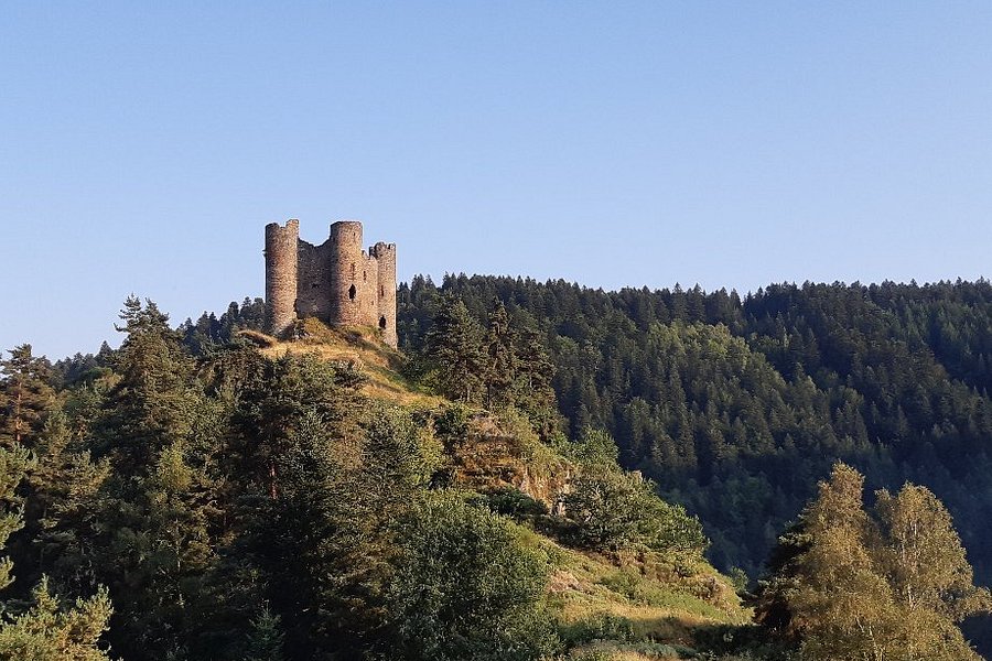 Chateau d'Alleuze image