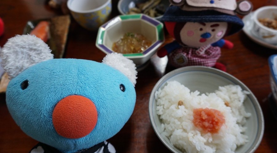 Stuffed animal travelers are enjoying a Japanese-style breakfast. You don't need a canvas to become an artist. You just need a bowl of steamed rice. At Sai Village, Aomori Japan.