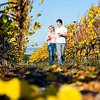 Things To Do in Half Day Tamar Valley Wine Tour, Restaurants in Half Day Tamar Valley Wine Tour