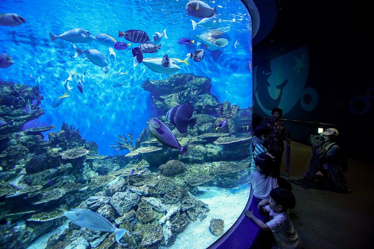 Aqua Planet Yeosu, Йосу: лучшие советы перед посещением - Tripadvisor