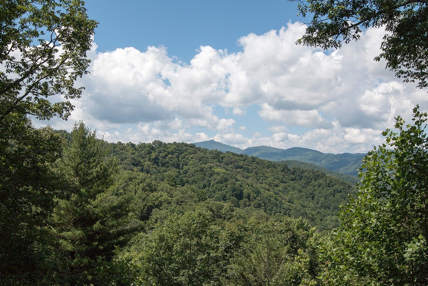 LAZY BEAR LODGE - Updated 2024 Prices & B&B Reviews (Valle Crucis, NC)