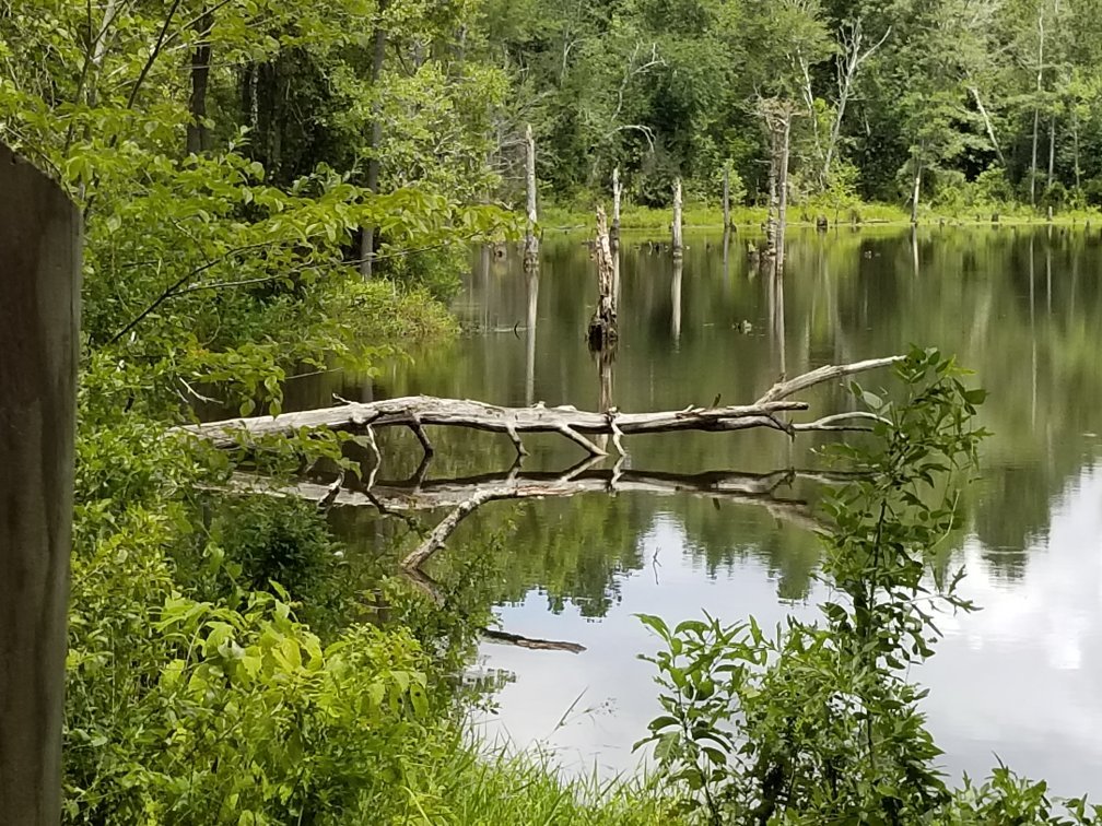 BOYD POND PARK - All You Need to Know BEFORE You Go (with Photos)