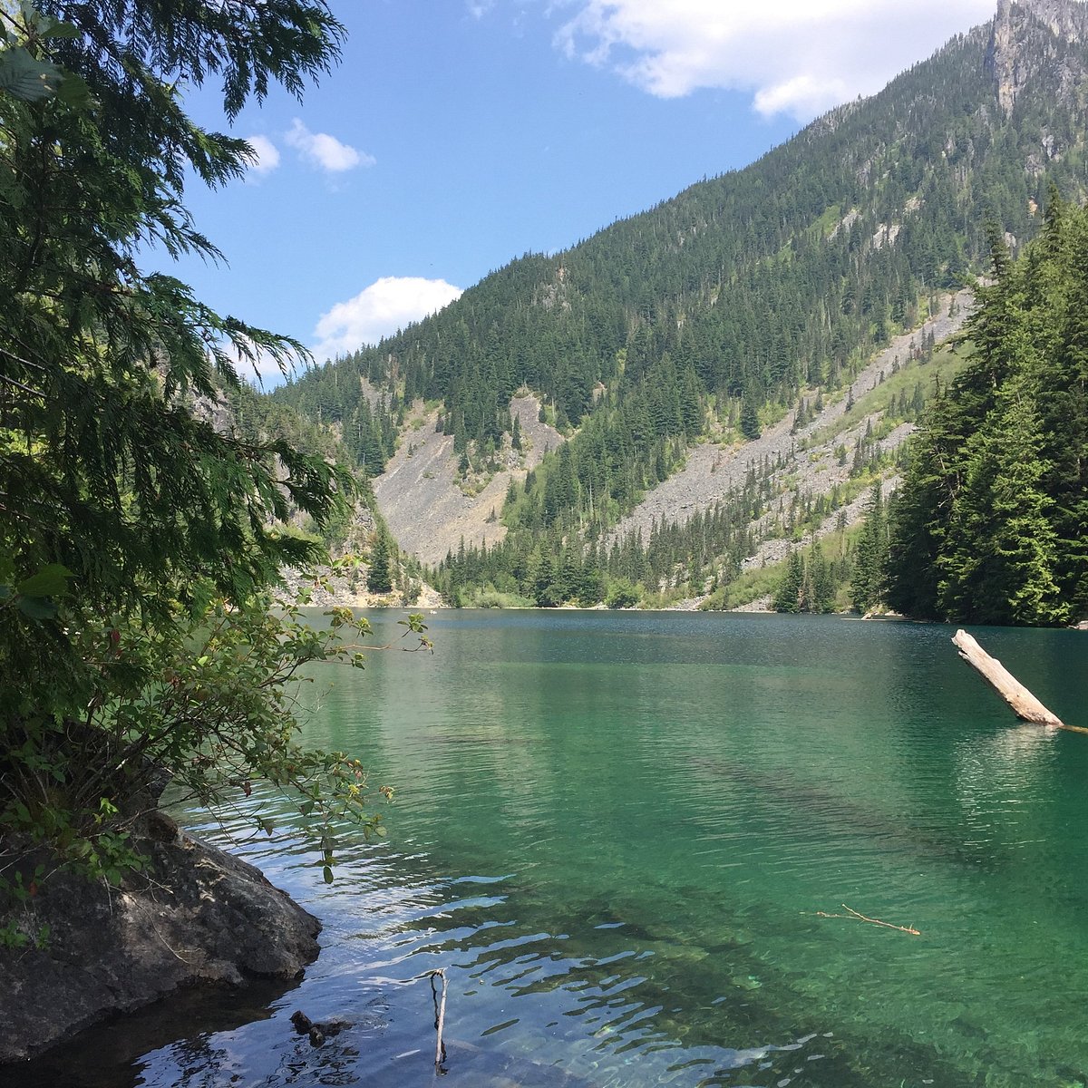 are dogs allowed at chilliwack lake