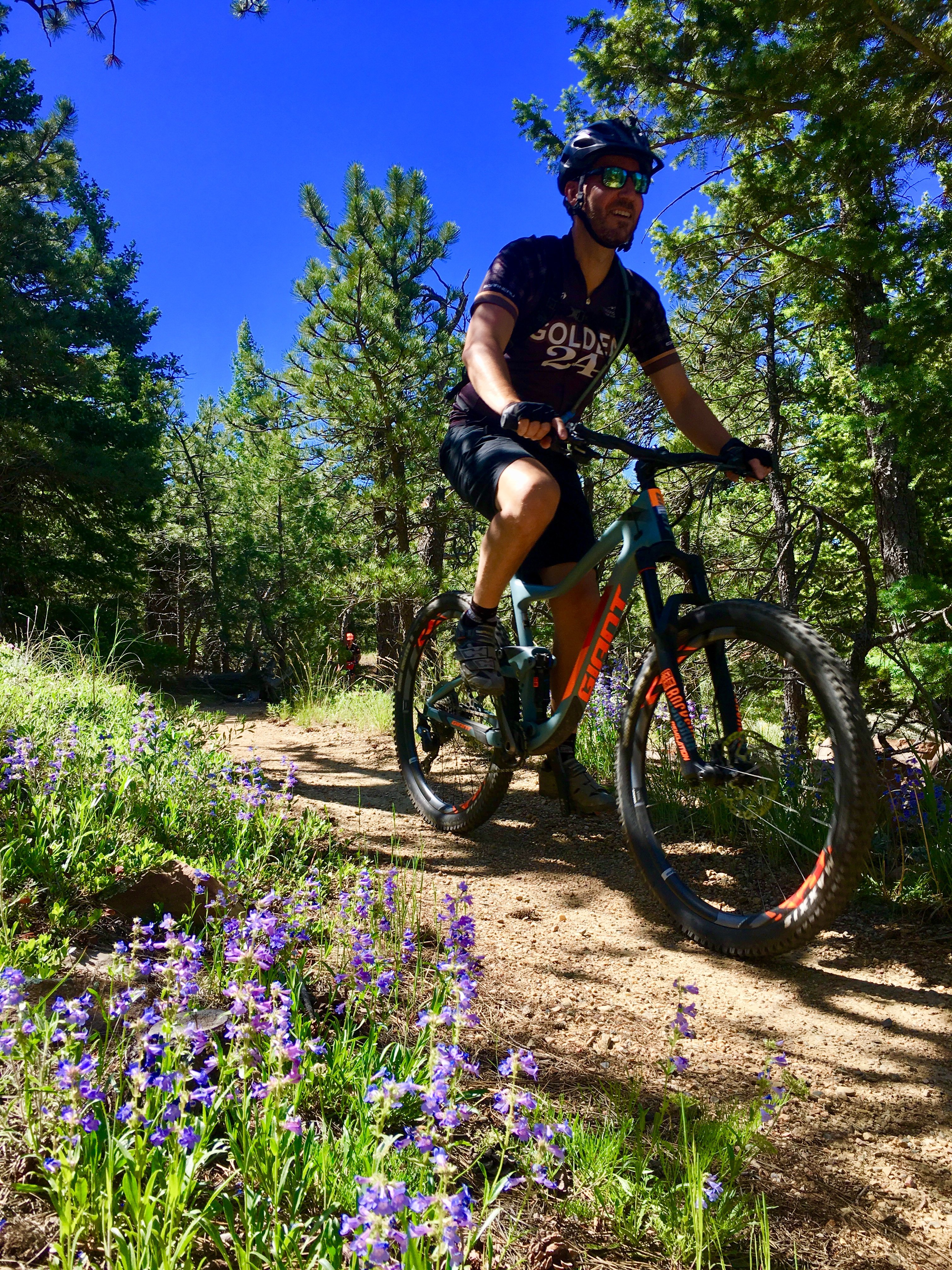 pedal mountain bike adventures