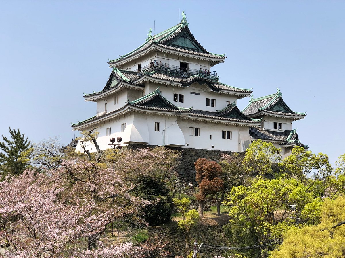 Wakayama Castle All You Need To Know Before You Go