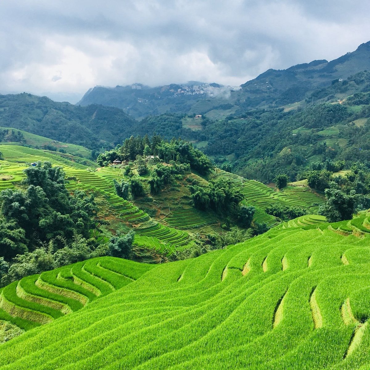 Sapa Hmong Treks - All You Need to Know BEFORE You Go