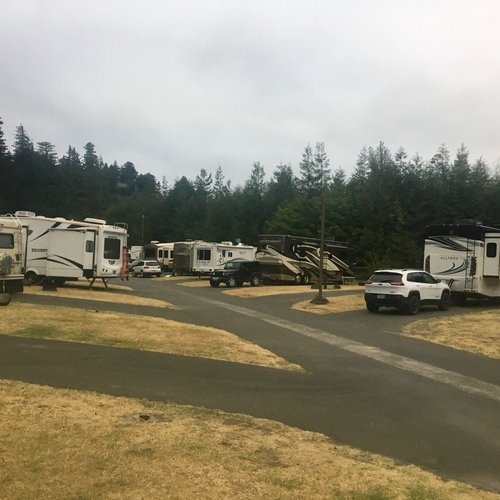 ANCIENT REDWOODS RV PARK - Updated 2024 Campground Reviews (Redcrest, CA)