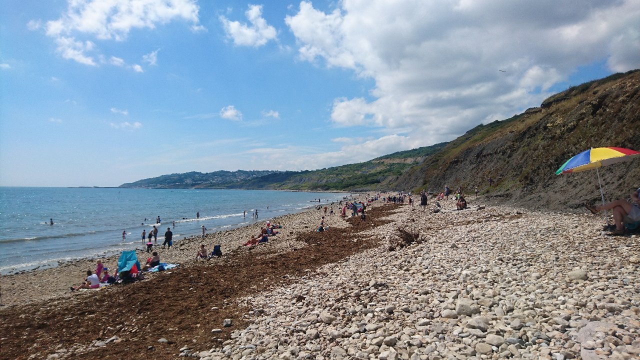 CHARMOUTH HERITAGE COAST CENTRE: Tutto Quello Che C'è Da Sapere