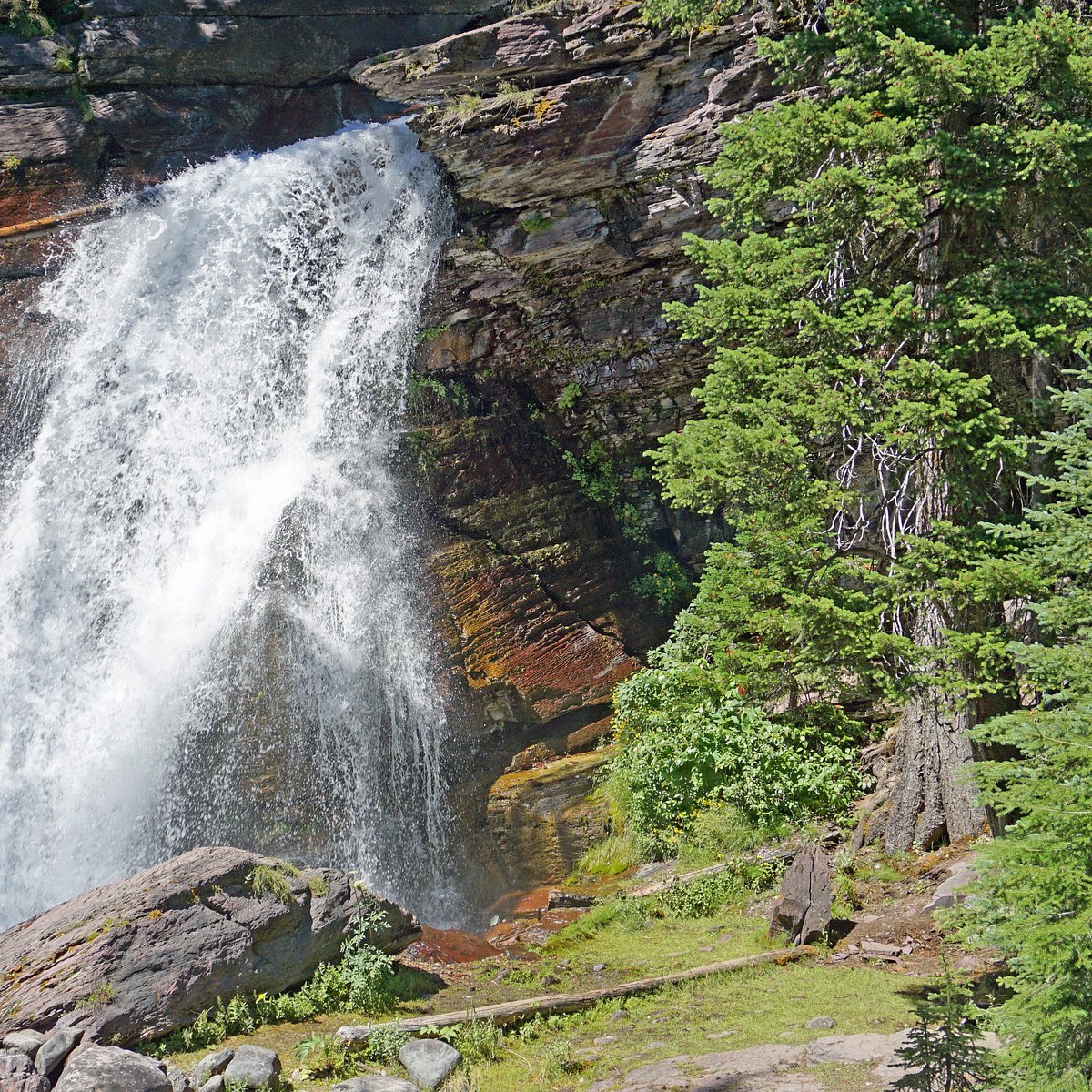 Baring Falls (Glacier National Park) - All You Need to Know BEFORE You Go