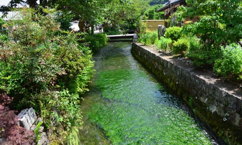 Maibara, Japan 2023: Best Places to Visit - Tripadvisor