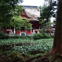 池の向こうは三神合祭殿