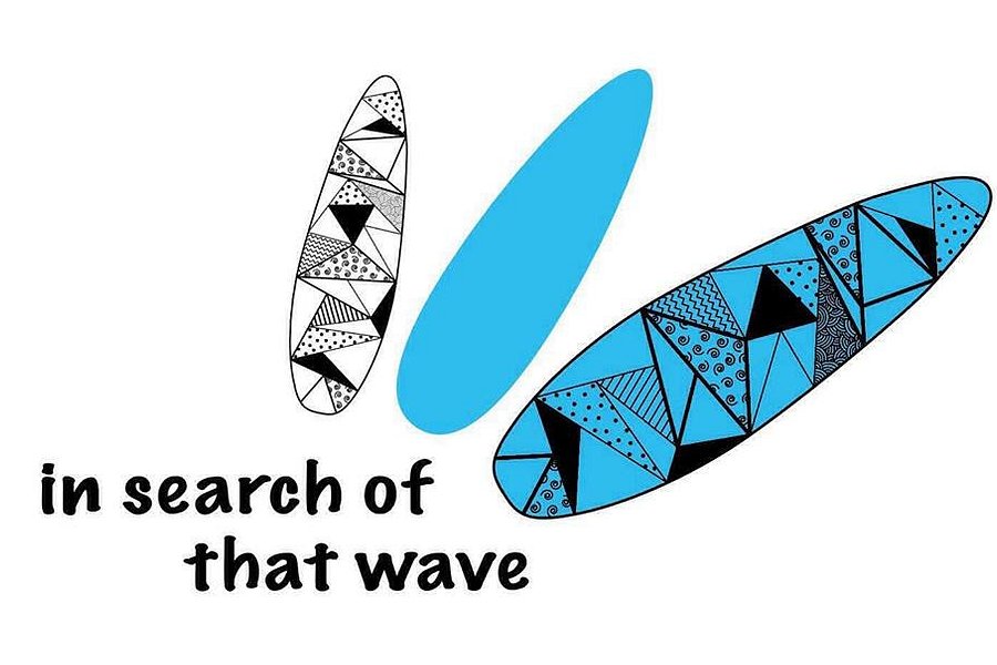 In Search of That Wave image