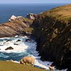 Things To Do in Shetland Nature, Restaurants in Shetland Nature