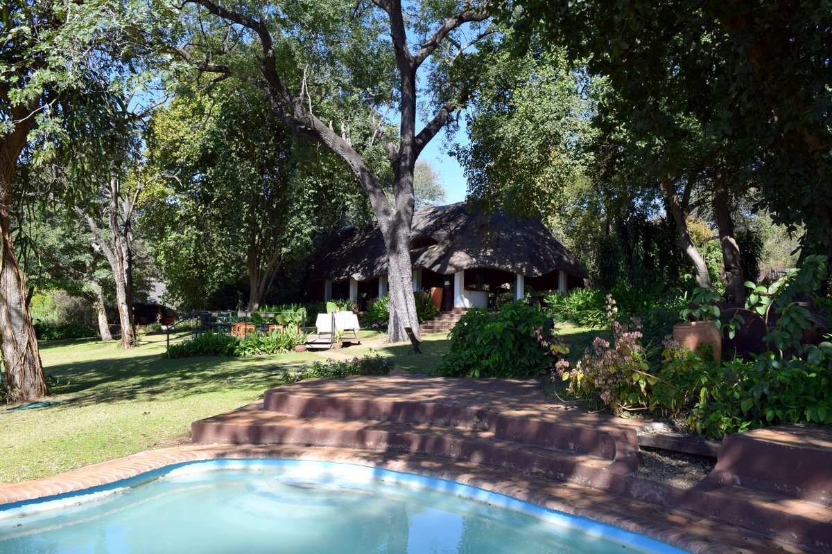 Imbabala Lodge Zambezi River Pool Pictures & Reviews - Tripadvisor