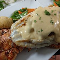 20 oz Florida Lobster tail, stuffed with crab and topped with Hollandaise