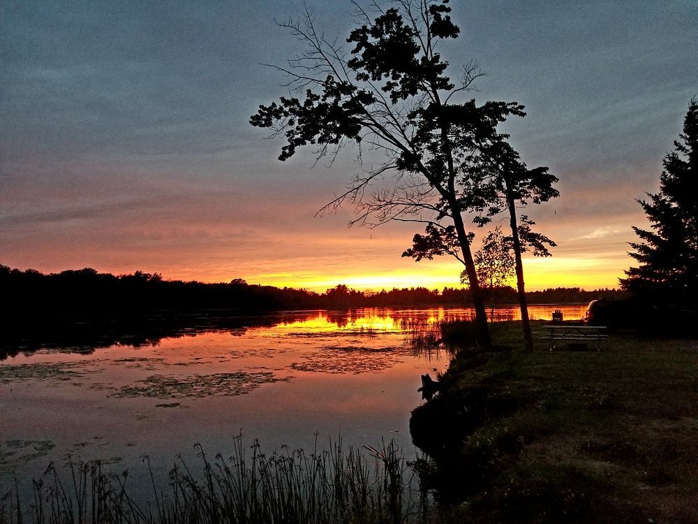 CAMPER'S COVE CAMPGROUND (Alpena, MI) tarifs 2024