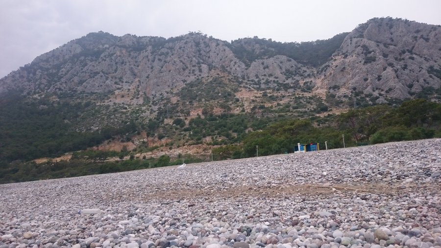 the beach