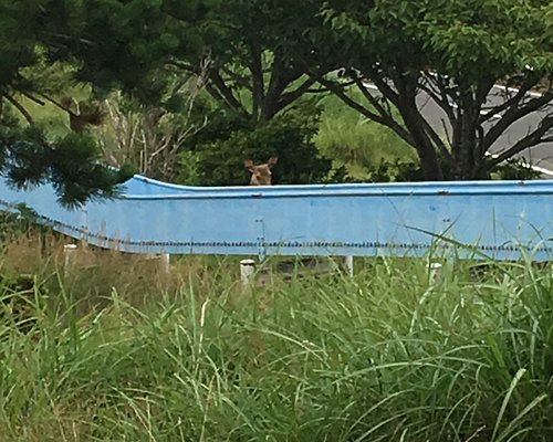 石巻の遊び場 石巻の遊び場をチェックする トリップアドバイザー