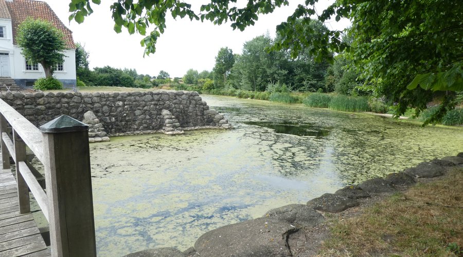 Pond that surrounds main house