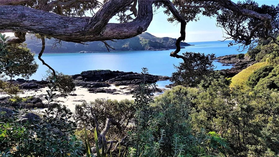 Matai Bay, Karikari Peninsula, Far North, NZ