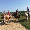 Things To Do in Equestrian Trails, Restaurants in Equestrian Trails