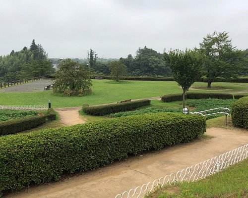 成田市の公園 自然 ベスト10 トリップアドバイザー