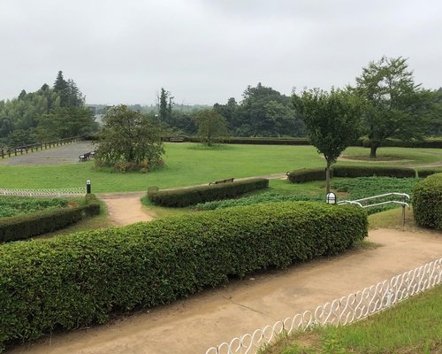 成田市の公園 自然 ベスト10 トリップアドバイザー