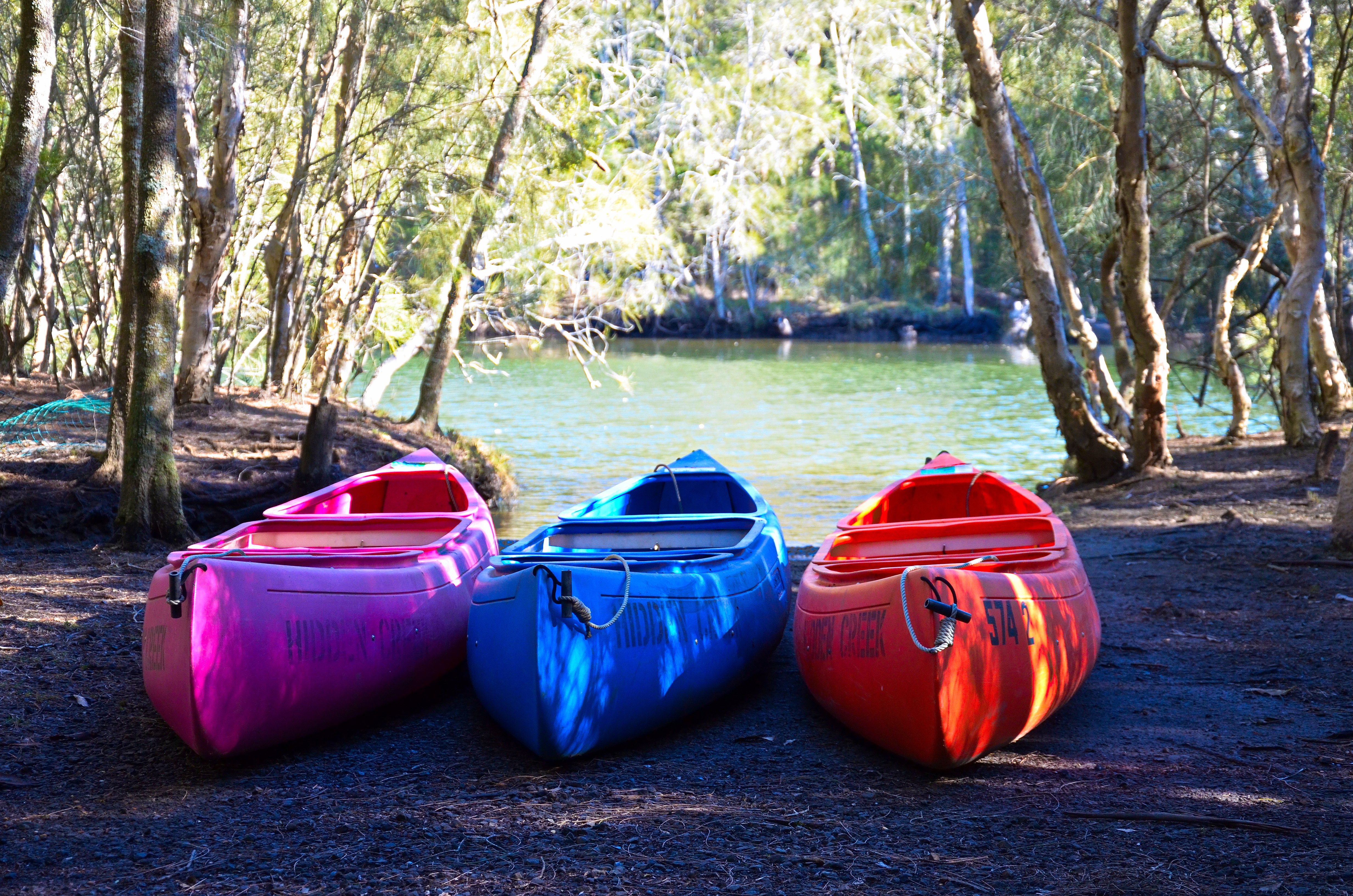 Jervis bay deals camping