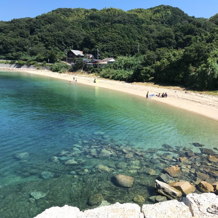 民宿わっふる 和風流 口コミ 宿泊予約 トリップアドバイザー