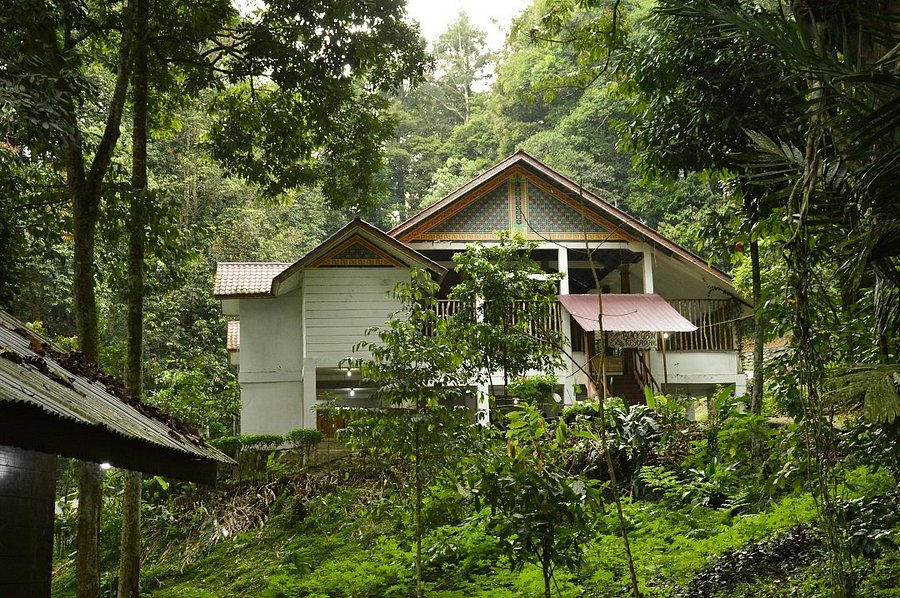 Leuser Guesthouse Prices Lodge Reviews Ketambe Indonesia Tripadvisor